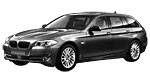 BMW F11 B20A6 Fault Code
